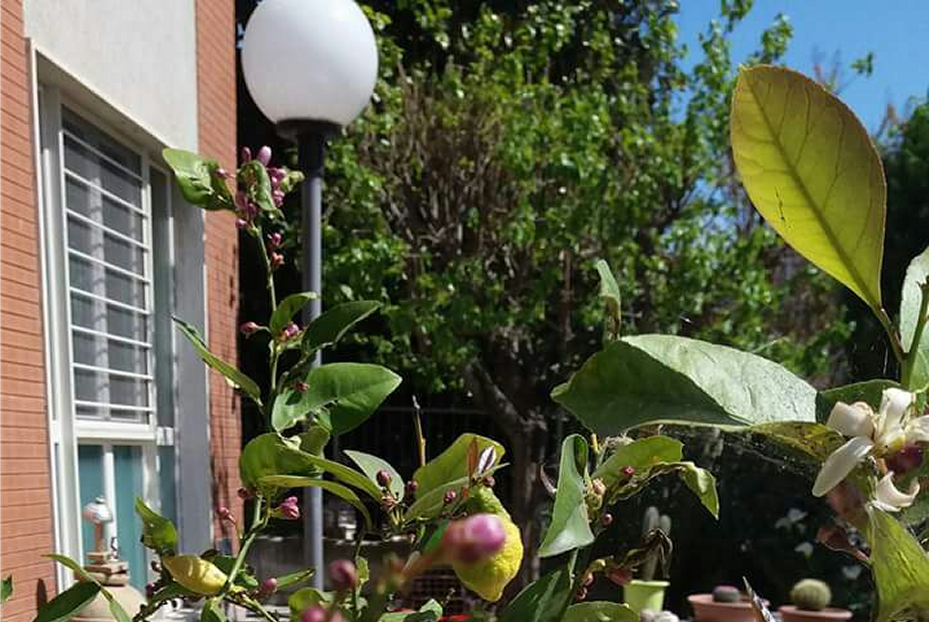 Clicca qui per entrare